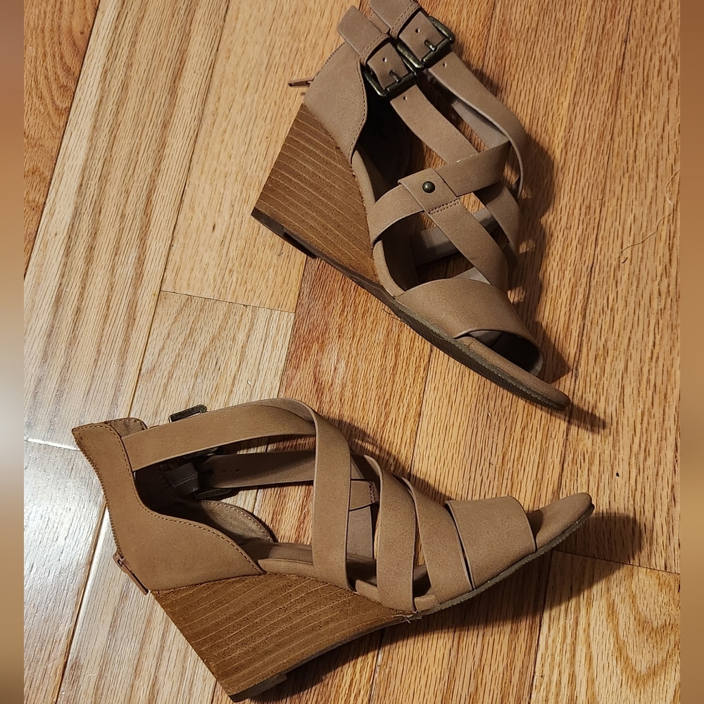 Nude-ish Tan Wedges EUC